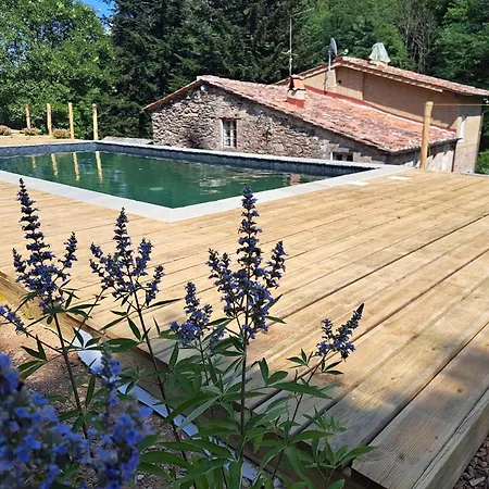 Borgo Sulla Visona 7 Piscina Lucca Toscana Prázdninový dům